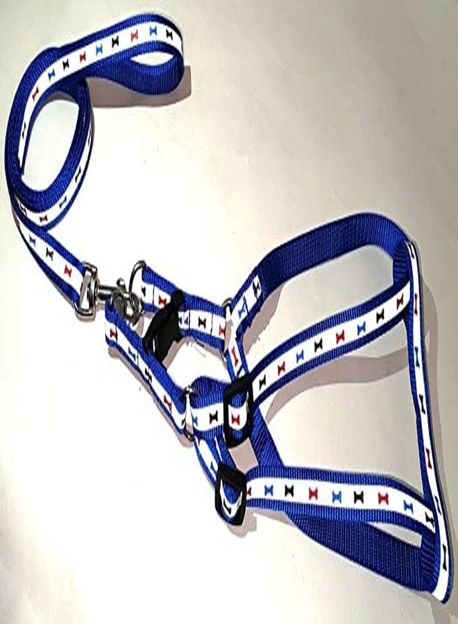 Pups&Pets Soft Nylon Printed Reflective Harness & Adjustable Buckle Leash Set with D Metal Ring for Small Dogs, Puppies, Cats, and Kittens - 15mm (Blue) - Image 3